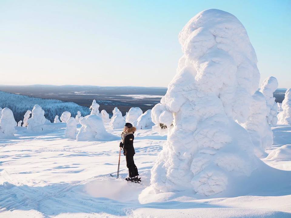 Prettiest ski resorts in Europe: Levi's ghost trees