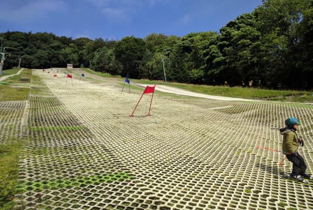 Dry ski slopes